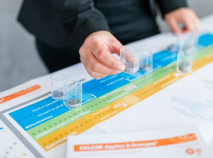 BUSINESS SIMULATIONEN